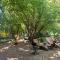 Superb yurt of Mongolian tradition in Provence - 萨尔里昂