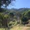 Oasis in the mountain, Quebrada Alvarado, Olmué - Olmué