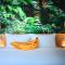 The Stay Chaweng Beach Resort- SHA Plus - Chaweng