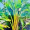 El Palmeral - Exlusive Villa with Private Pool in Corralejo - 科拉雷侯