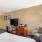 Comfort Inn & Suites Logan International Airport - Revere
