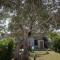 Welcomely -Villa Assunta