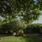 Welcomely - Villa Adele