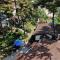 Modni Pension - Taean