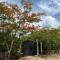 Casa Sabina en Francisco Uh May - Francisco Uh May