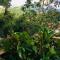 Loft do Paraiso 02-,Petropolis-RJ - 彼得罗波利斯