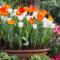 Gabala Garden hostel