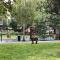 Modern & Funky 3-BR Duplex with Games Room & Sauna - Londres