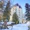 Central Majestic Apartment Near Skiing - Happy Rentals - 夏蒙尼-勃朗峰