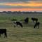 Beach retreat Moo Views! Pet friendly,linen,wifi