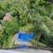 PEACEFUL GREEN VILLA