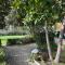 Vacation Apartments Garden