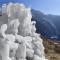 Himalayan lap homestay