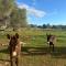 Agroturismo Finca Son Pieras