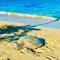 Aloha Beach Retreat, Ocean Front With AC - Hauula