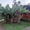 Chontaqui Eco-Lodge