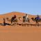 Merzouga Erg Camp - 梅尔祖卡
