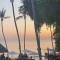 Wild Wood x Hansa Beach Fitness Resort