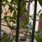 B&B Corte dell' Idume - Lecce