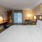 Comfort Inn South