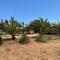 Cabaña con Piscina Guanaqueros - Guanaqueros