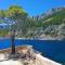 Hvar Stone Villa with pool - Vrbanj