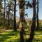 Carintia Cabins