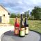 Villa coco 9 personnes jardin proche Beauval - Lye