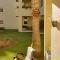 2 Bed Apt -Pool Access-WalkingDistanceToTheBeach - Los Alcázares