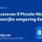 Stacaravan Il Piccolo Nido in Bosrijke Omgeving, Rust & Natuur in Drenthe