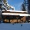 Mica Mountain Lodge & Log Cabins - Tete Jaune Cache