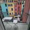Bella Vernazza with AC and Balcony - Vernazza