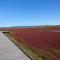 Sea Side Stay / Vacation STAY 1785