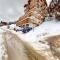 Apartment in central location with views - Nendaz