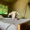 Bwana Tembo Safari Camp - Paraa