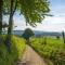 Tidy chalet with a dishwasher, on the Bemelerberg - 贝梅伦