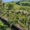 Romantic Tuscan Barn with Pool Views Private Terrace Sleeps 2 to 6, Lamole Greve in Chianti