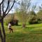 Camping des vignes - Dun