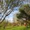 Camping des vignes - Dun