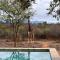 Villa Tall Horse - Zandspruit Bush and Aero Estate