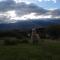 Una Morada en la Montaña