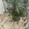 Holiday Home 1