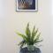 The Heart of Brixham, Bolton Plaice, Luxury Apartment