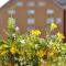 Nice two-floor home by Gamle bybro - 特隆赫姆