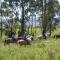 Hidden Gem, Megalong Valley, Blue Mountains