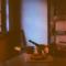 Historic Adobe 3br Home in Downtown El Presidio