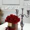 Spacious Cosy Apt with Pool and Parking - Pesnica pri Mariboru