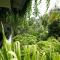 Tropical Plant Villa - Tangalle
