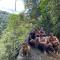 Bioparque Las Cañadas - Mocoa