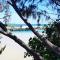 The Beach Oasis ~ Dune